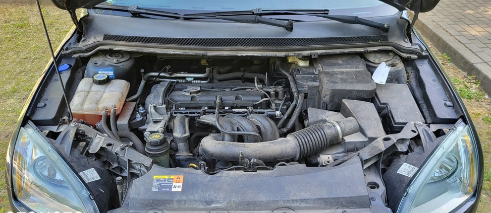 Ford Focus cena 9200 przebieg: 214827, rok produkcji 2007 z Odolanów małe 781